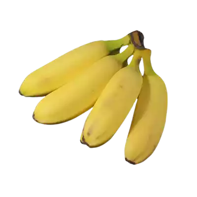 Banana Sobri