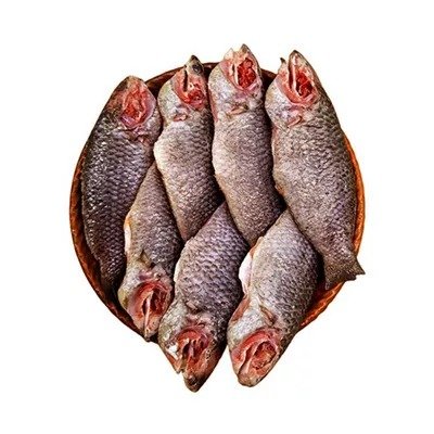 H.O.S- Premium Koi Fish Medium (7-9 pcs) ±30 gm