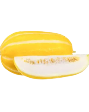 Musk Melon (Bangi)
