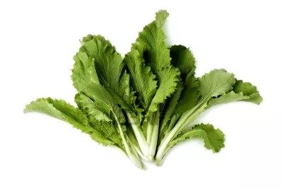Badhakopi Pata (Chinese Cabbage Leaves) 150 gm+