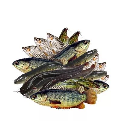 Haor Fish Mix ±30 gm