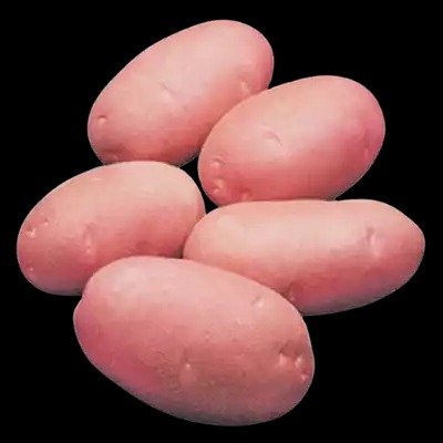 Lal Alu (Red Potato Cardinal) ± 50 gm
