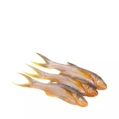 PQS Taposhi Fish Processed