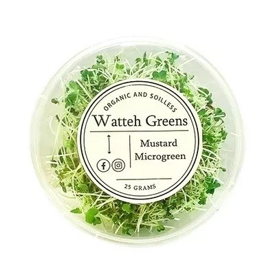 Watteh Greens Mustard Microgreen