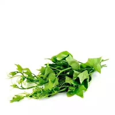 lau-shak-sweet-bitter-melon-leav Lau Shak (Sweet Bitter Melon Leaves)