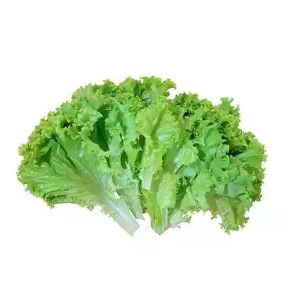lettuce-leaves-10-gm-100-gm Lettuce Leaves ± 10 gm