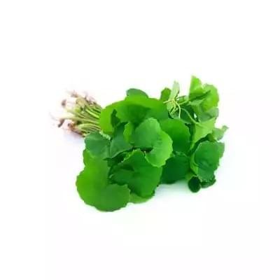 Thankuni Pata (Pennywort Leaves)