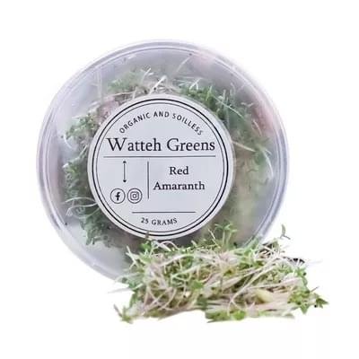 Watteh Greens Red Amaranth Microgreen